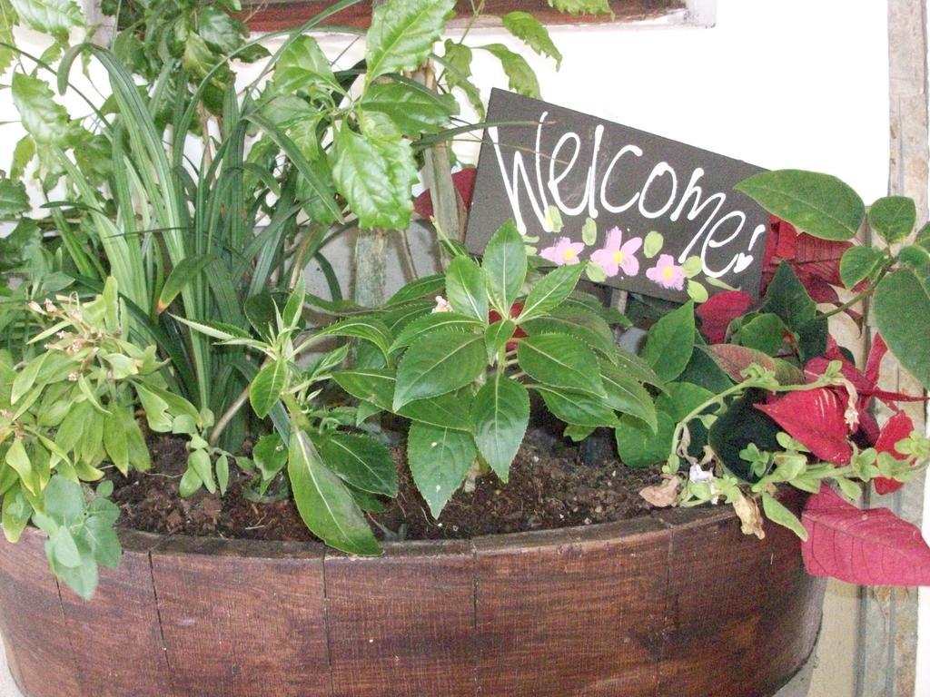 Bread And Barrel Guesthouse Bellville Ciudad del Cabo Exterior foto